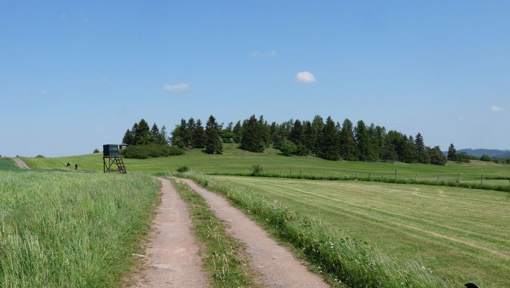 Diemelsteig