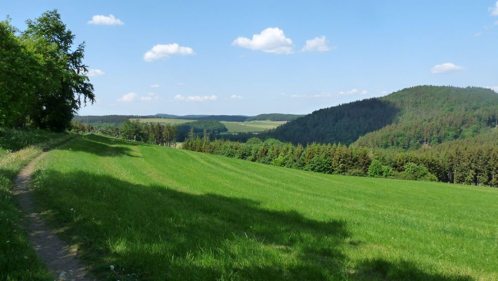 Diemelsteig