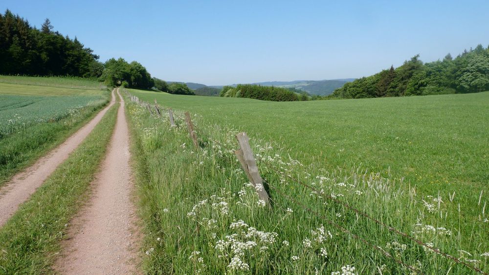 Diemelsteig