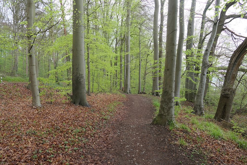 E1 Dänische Grenze bis Hamburg