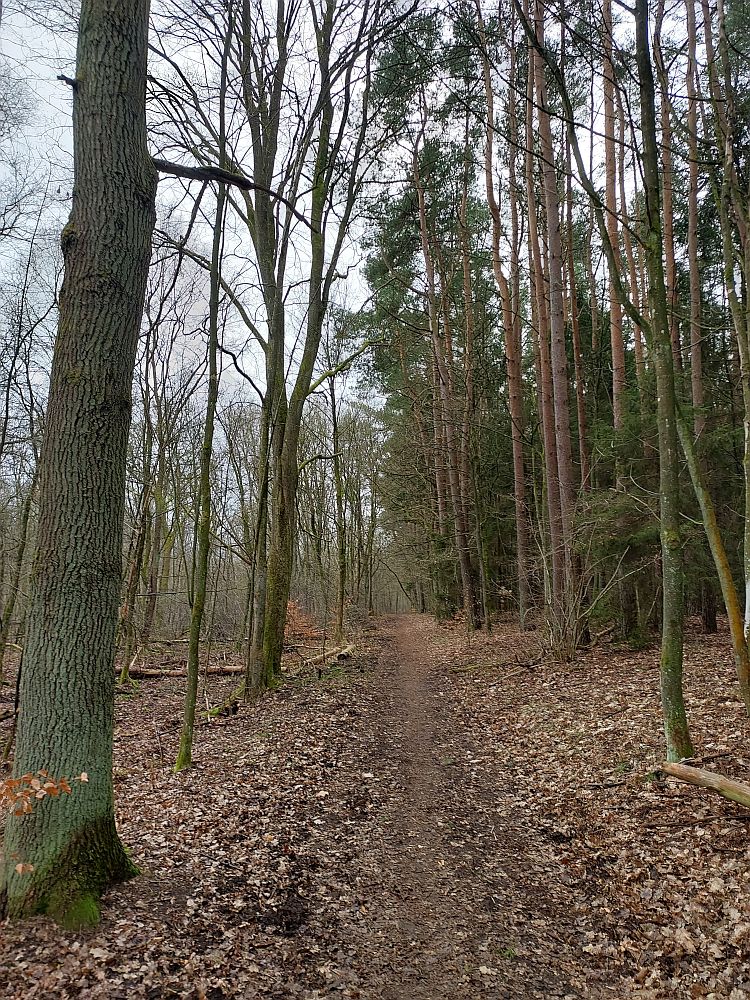 E1 Dänische Grenze bis Hamburg