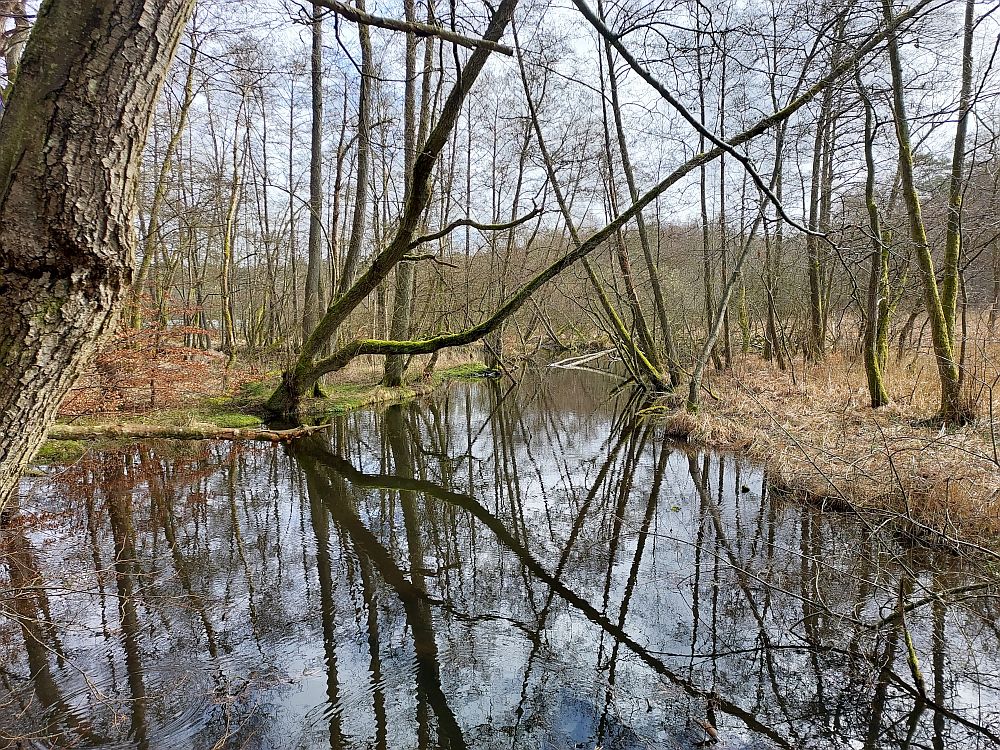 E1 Dänische Grenze bis Hamburg
