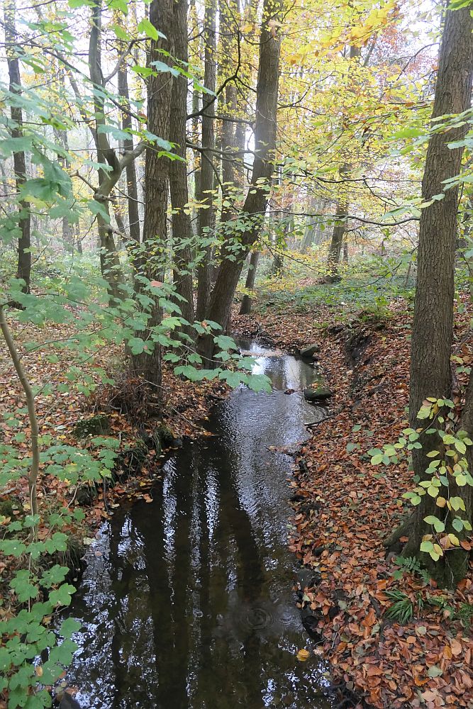 E1 Dnische Grenze bis Hamburg