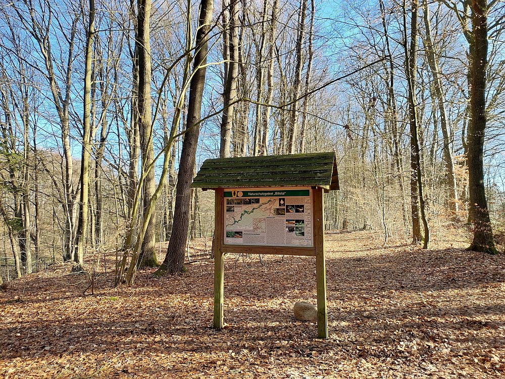 E1 Dänische Grenze bis Hamburg