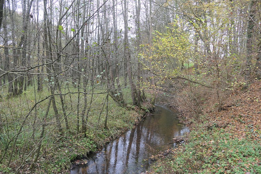 E1 Dnische Grenze bis Hamburg