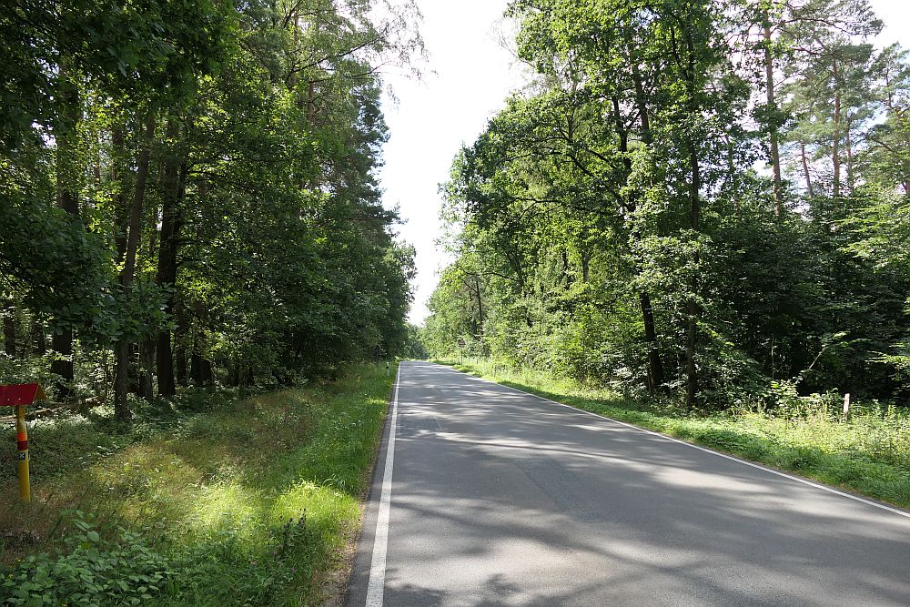 E1 Hamburg bis Steinhude