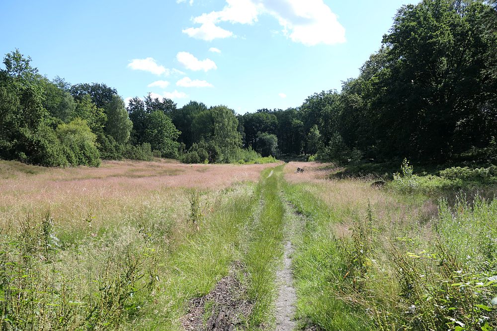E1 Hamburg bis Steinhude