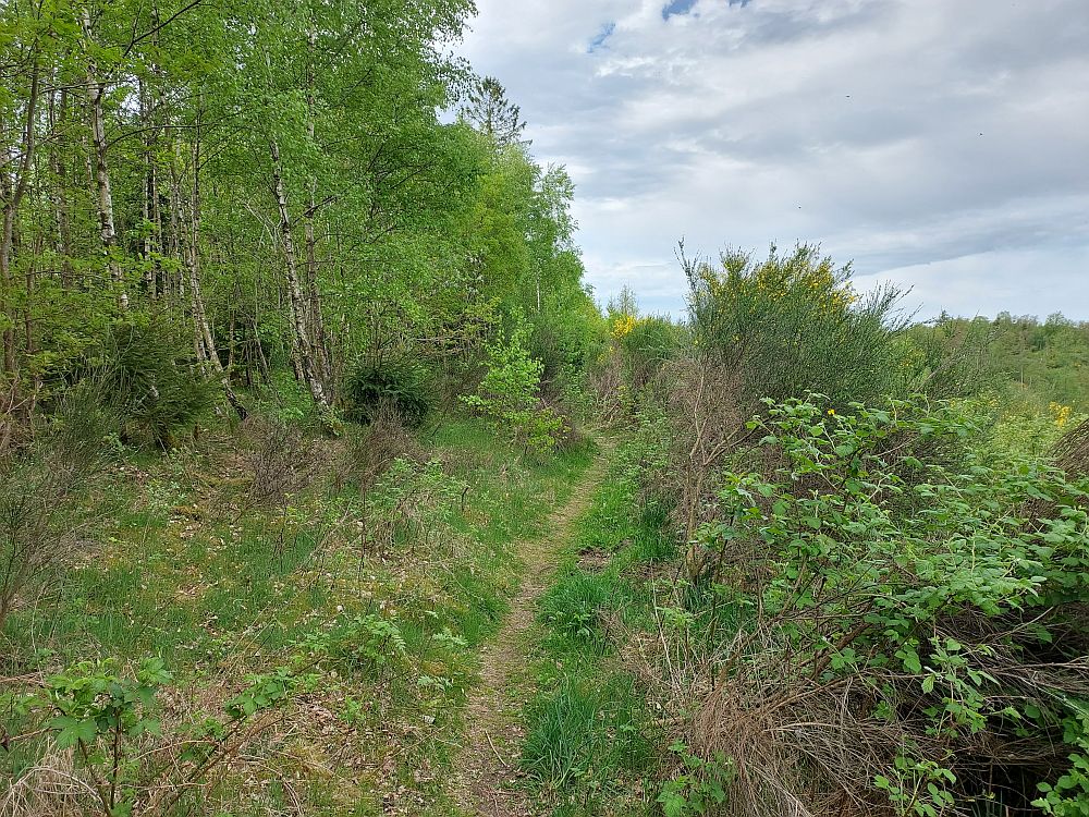 e1 Bad Laasphe bis Nassau 
