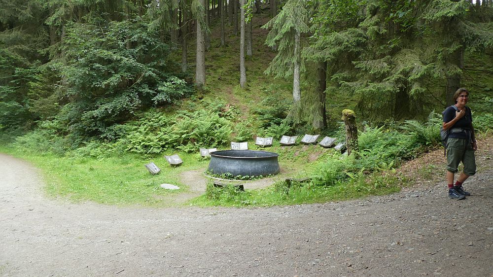 E1 Marsberg bis Schweinsbühl 