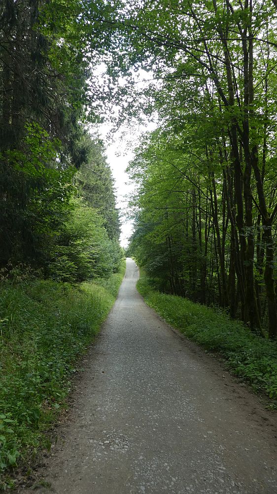 E1 Marsberg bis Schweinsbühl 