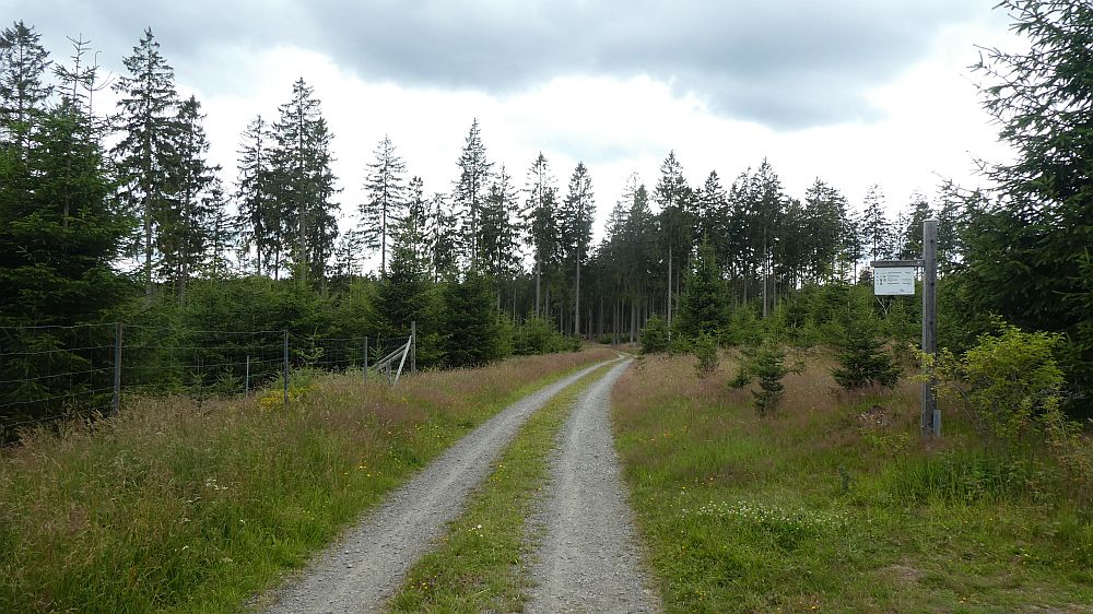 E1 Marsberg bis Schweinsbühl 