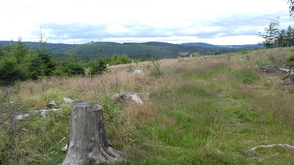 E1 Marsberg bis Schweinsbühl 
