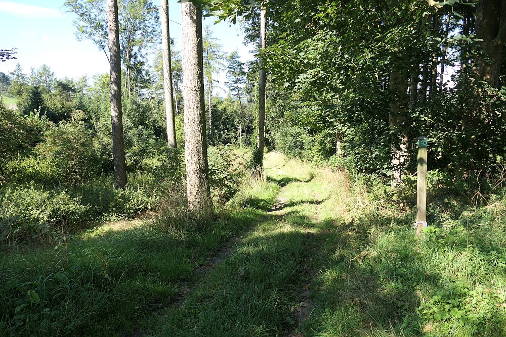 E1 Marsberg bis Schweinsbühl 