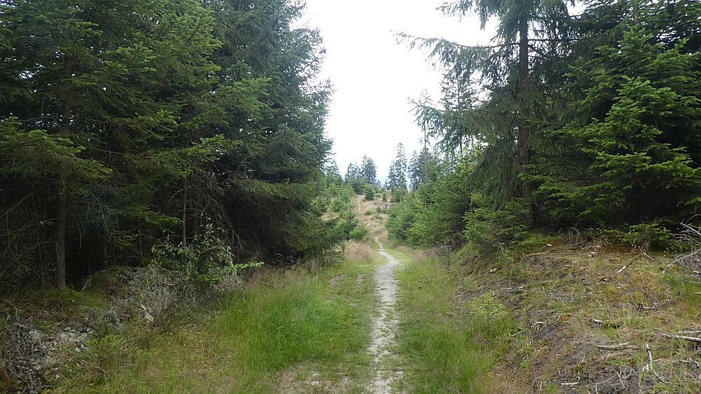 E1 Marsberg bis Schweinsbühl 