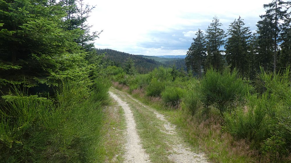 E1 Marsberg bis Schweinsbühl 
