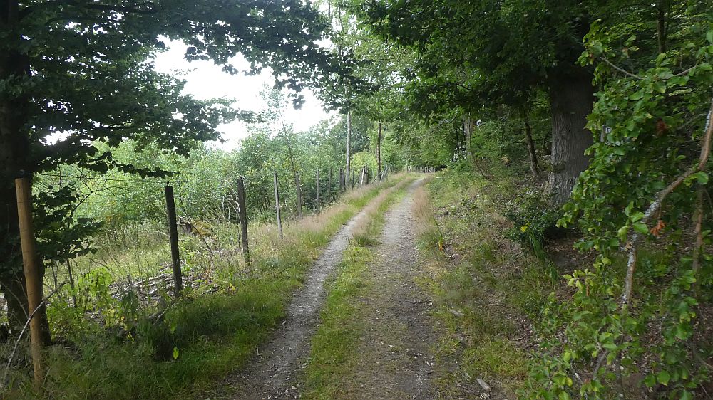 E1 Marsberg bis Schweinsbühl 