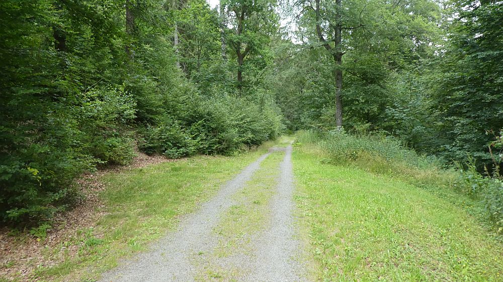 E1 Marsberg bis Schweinsbühl 