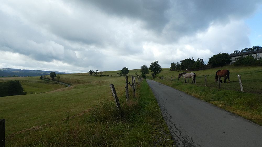 E1 Marsberg bis Schweinsbühl 