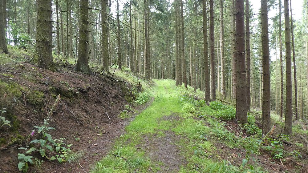 E1 Marsberg bis Schweinsbühl 