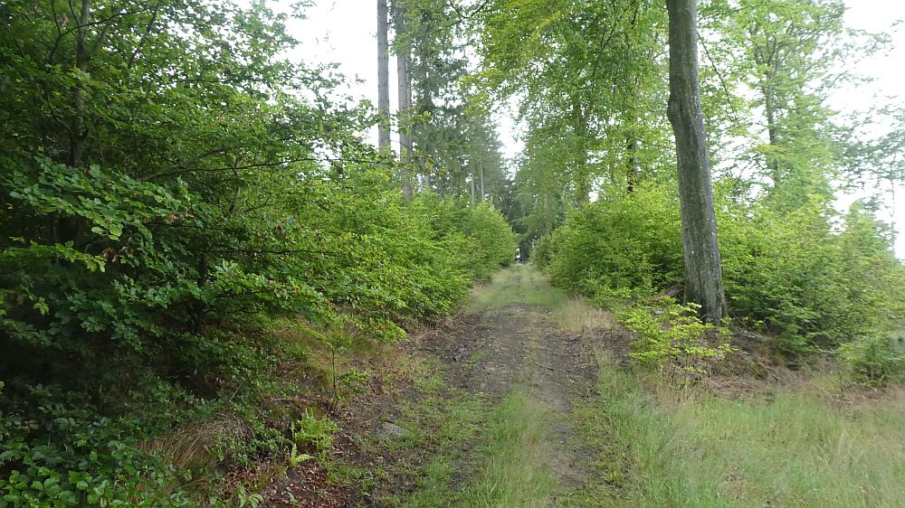 E1 Marsberg bis Schweinsbühl 