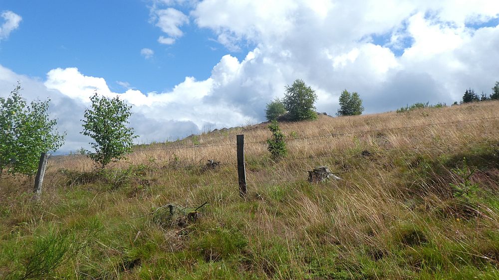 E1 Marsberg bis Schweinsbühl 