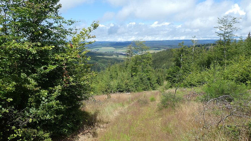 E1 Marsberg bis Schweinsbühl 