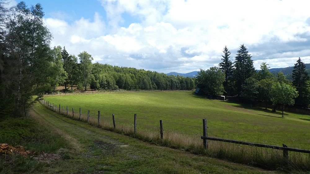 E1 Marsberg bis Schweinsbühl 