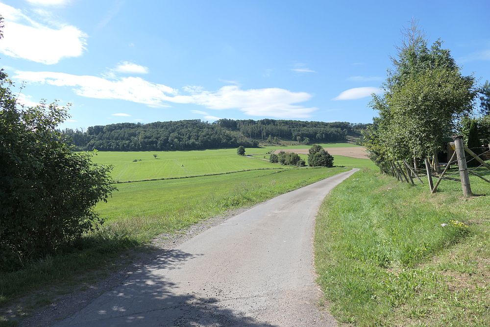 E1 Marsberg bis Schweinsbühl 