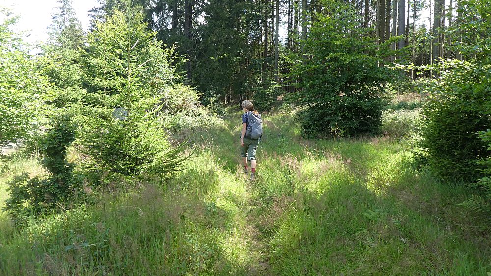 E1 Marsberg bis Schweinsbühl 