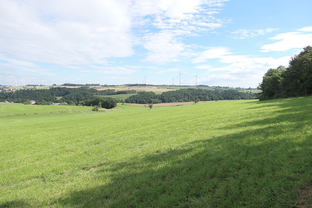 E1 Marsberg bis Schweinsbühl 