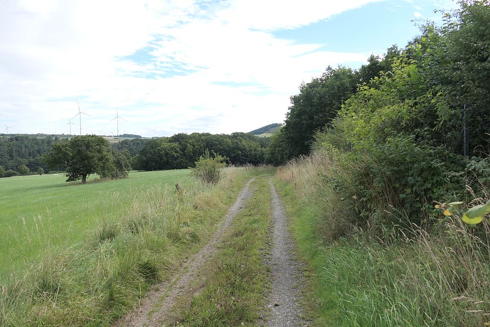 E1 Marsberg bis Schweinsbühl 