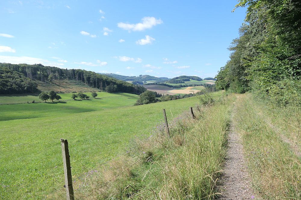 E1 Marsberg bis Schweinsbühl 