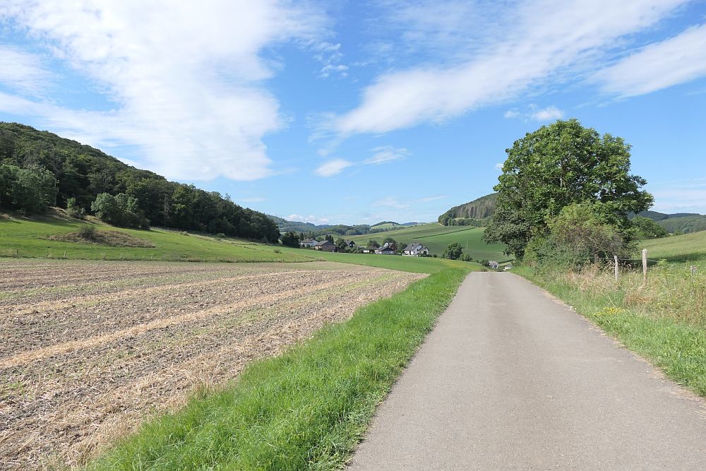 E1 Marsberg bis Schweinsbühl 