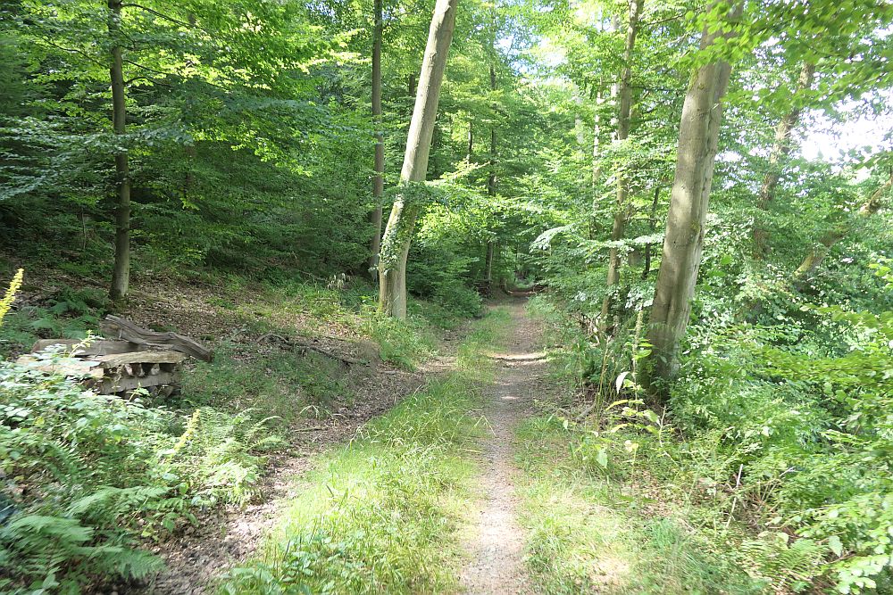 E1 Marsberg bis Schweinsbühl 