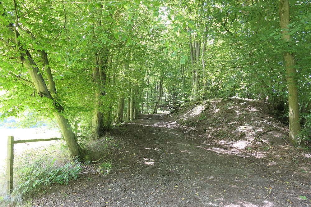 E1 Marsberg bis Schweinsbühl 
