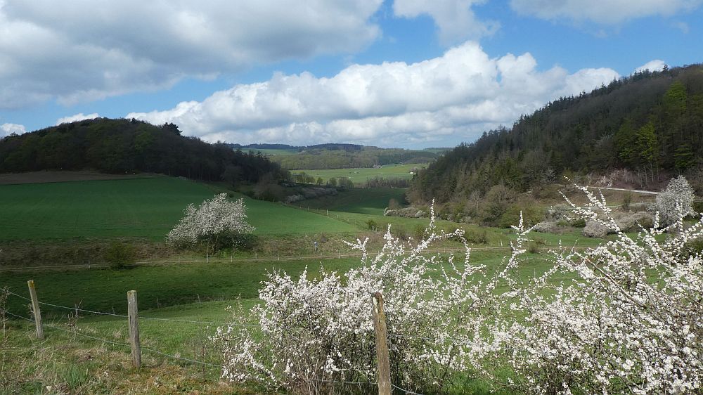 E1 Marsberg bis Schweinsbühl 