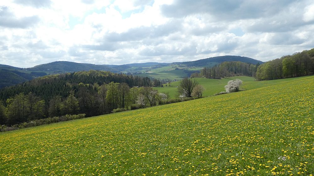 E1 Marsberg bis Schweinsbühl 