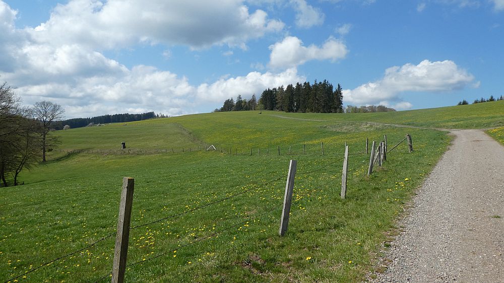 E1 Marsberg bis Schweinsbühl 