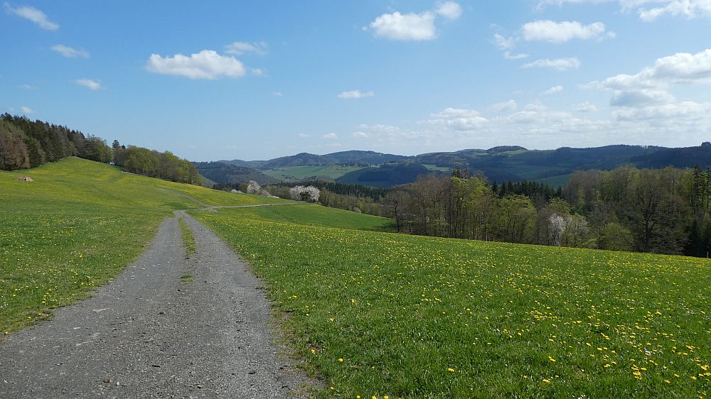 E1 Marsberg bis Schweinsbühl 