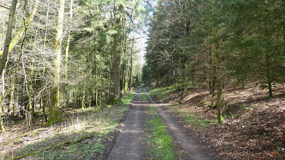 E1 Marsberg bis Schweinsbühl 