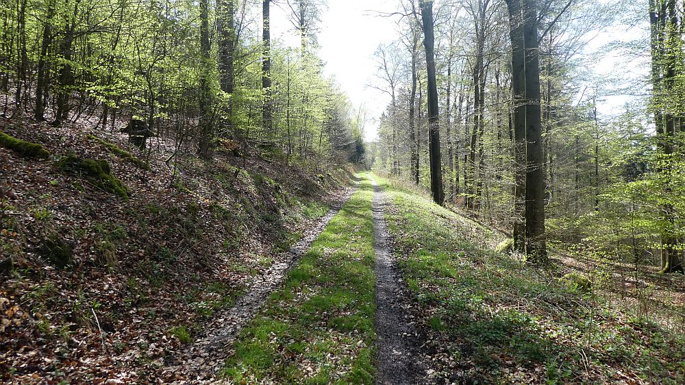 E1 Marsberg bis Schweinsbühl 