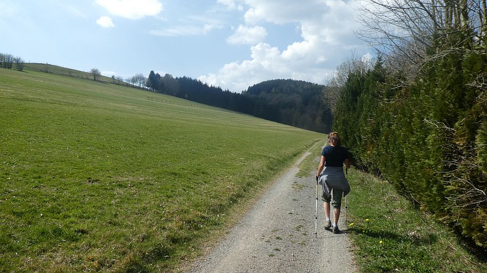 E1 Marsberg bis Schweinsbühl 