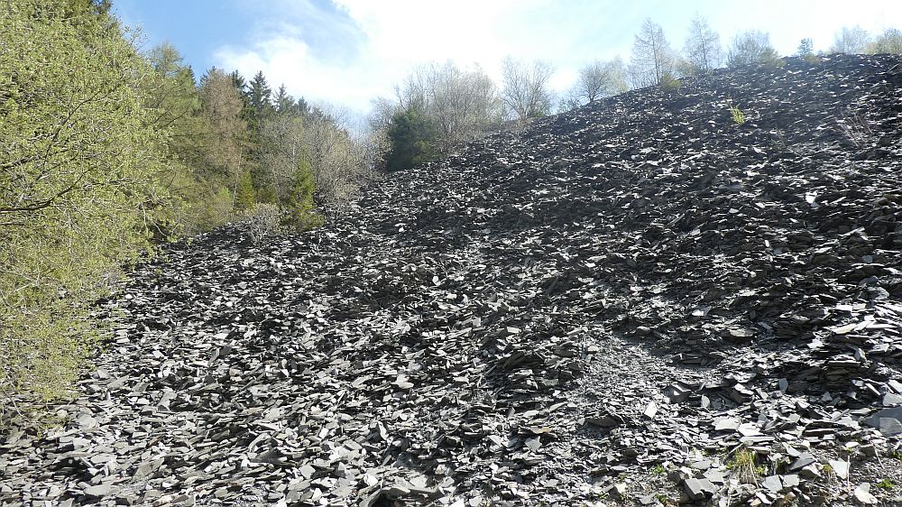 E1 Marsberg bis Schweinsbühl 