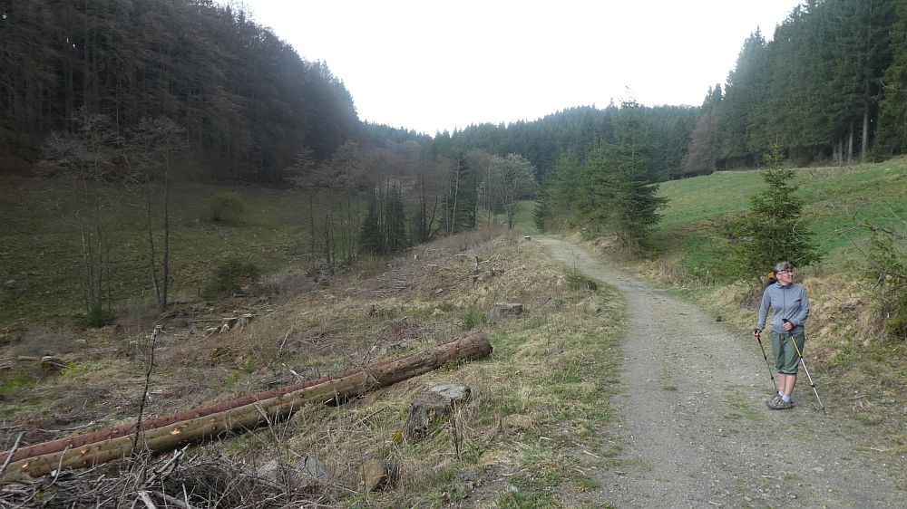 E1 Marsberg bis Schweinsbühl 