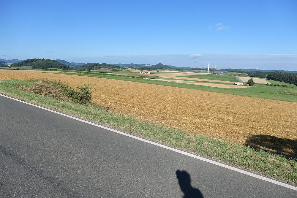 E1 Marsberg bis Schweinsbühl 