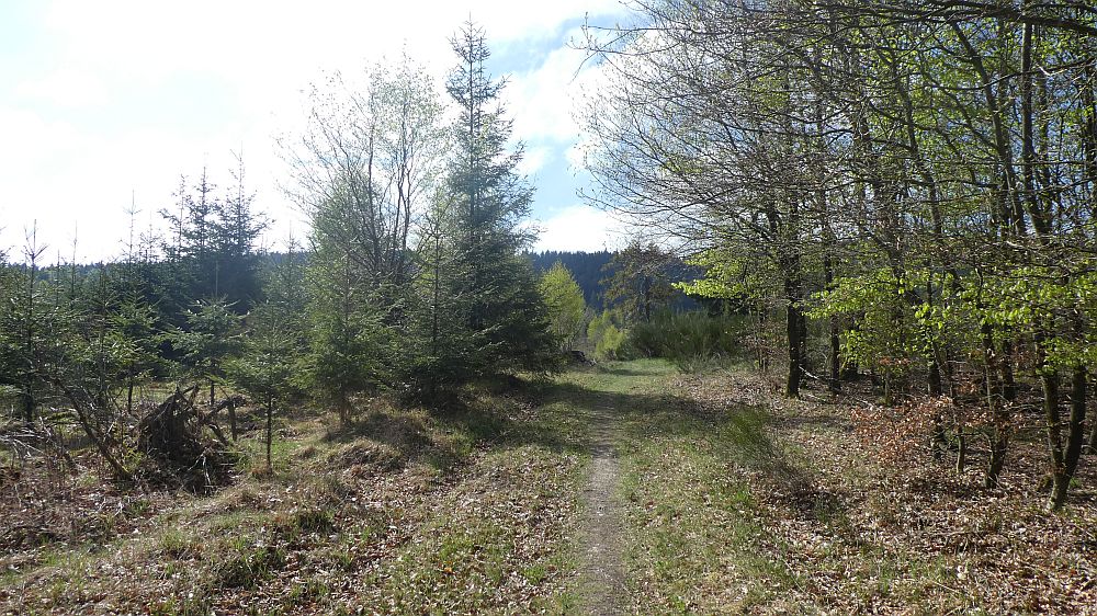 E1 Marsberg bis Schweinsbühl 