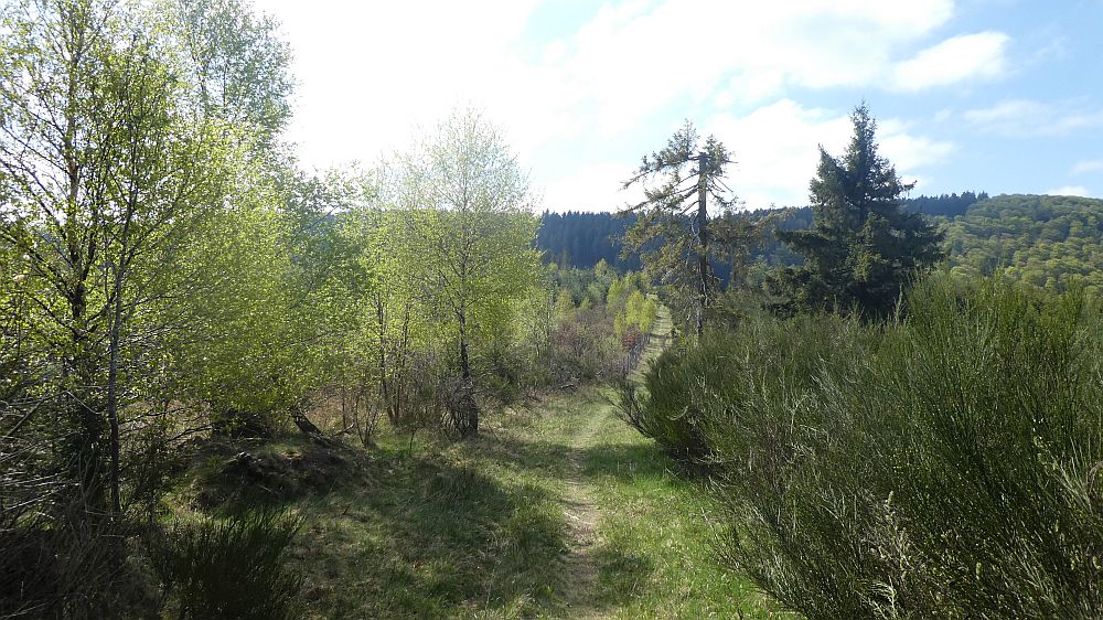 E1 Marsberg bis Schweinsbühl 