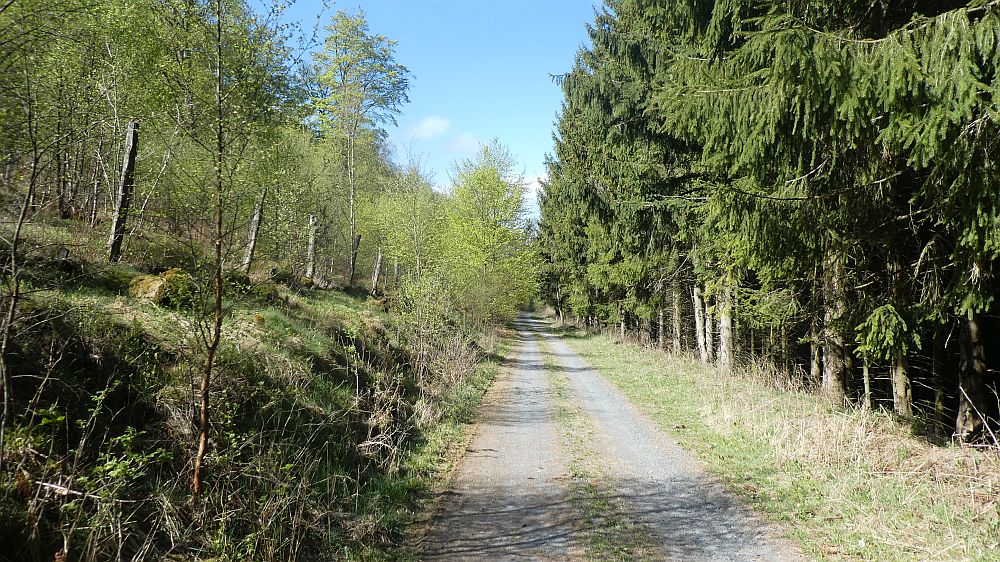 E1 Marsberg bis Schweinsbühl 