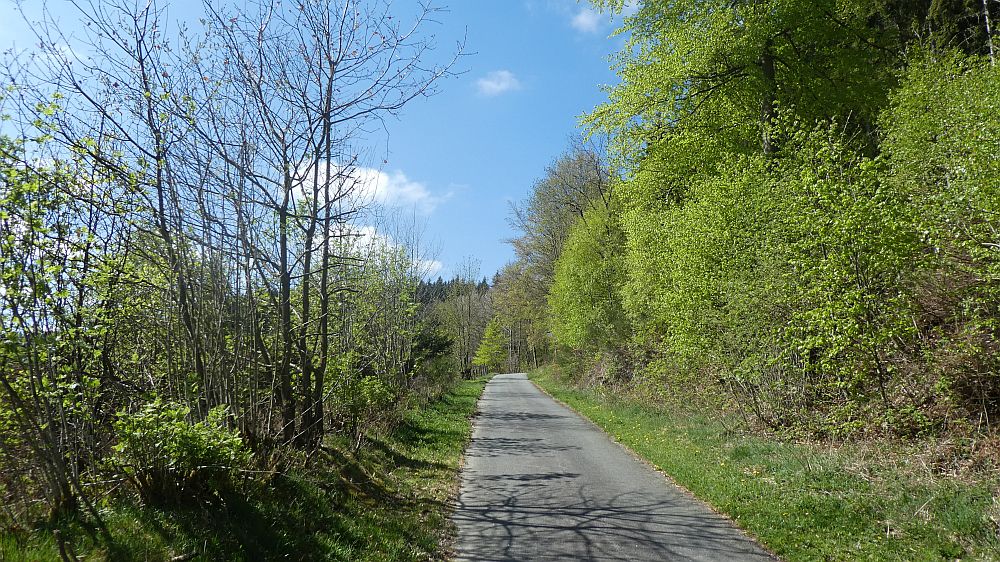 E1 Marsberg bis Schweinsbühl 