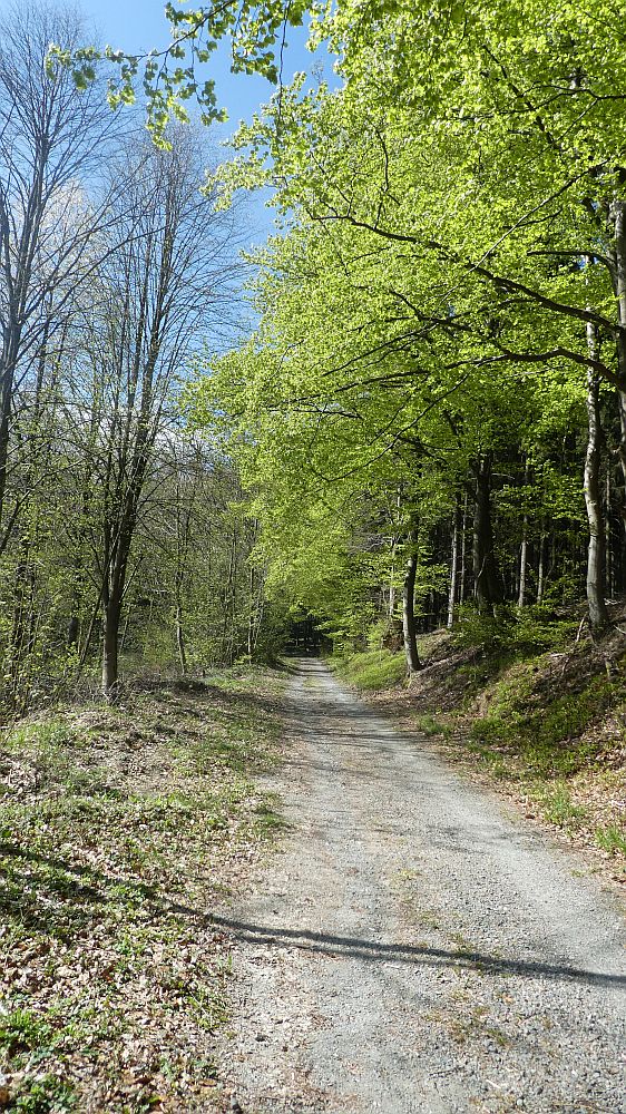 E1 Marsberg bis Schweinsbühl 